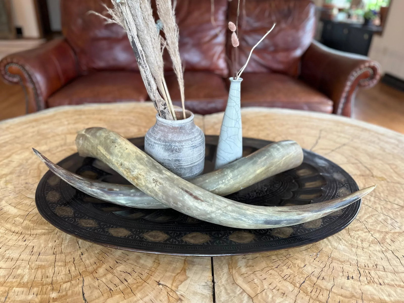 1950s Longhorn Horns Bull Horns Southwest DâË†Å¡Ã‚Â© - 5