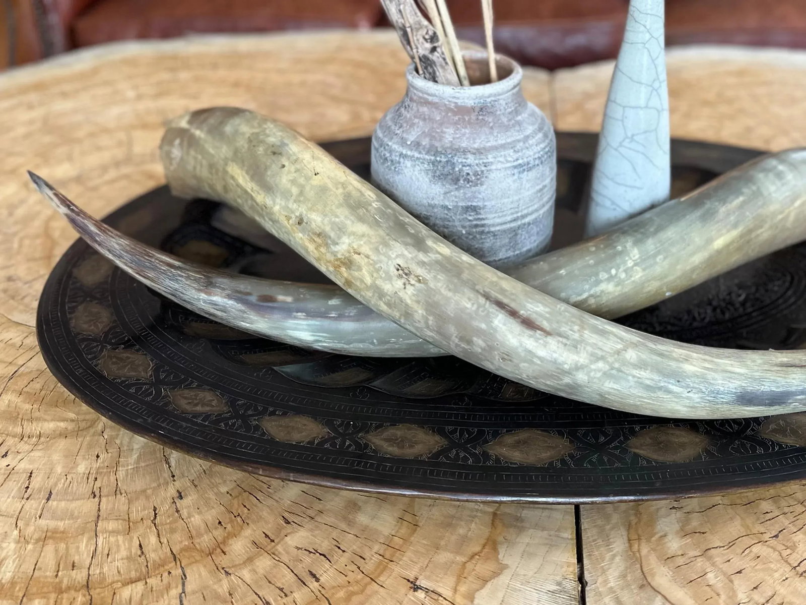 1950s Longhorn Horns Bull Horns Southwest DâË†Å¡Ã‚Â© - 7