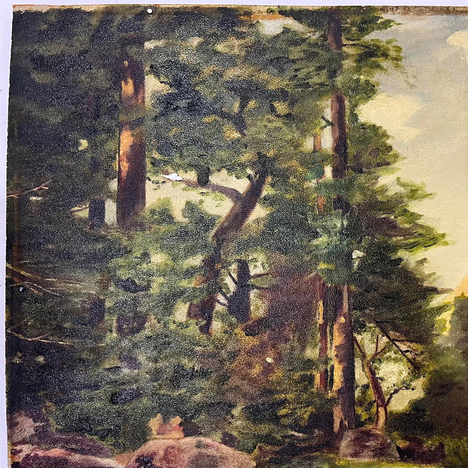 Sentinel Rock Through Pines Yosemite Oil on Board - After Thomas Moran Circa 1915 - 3