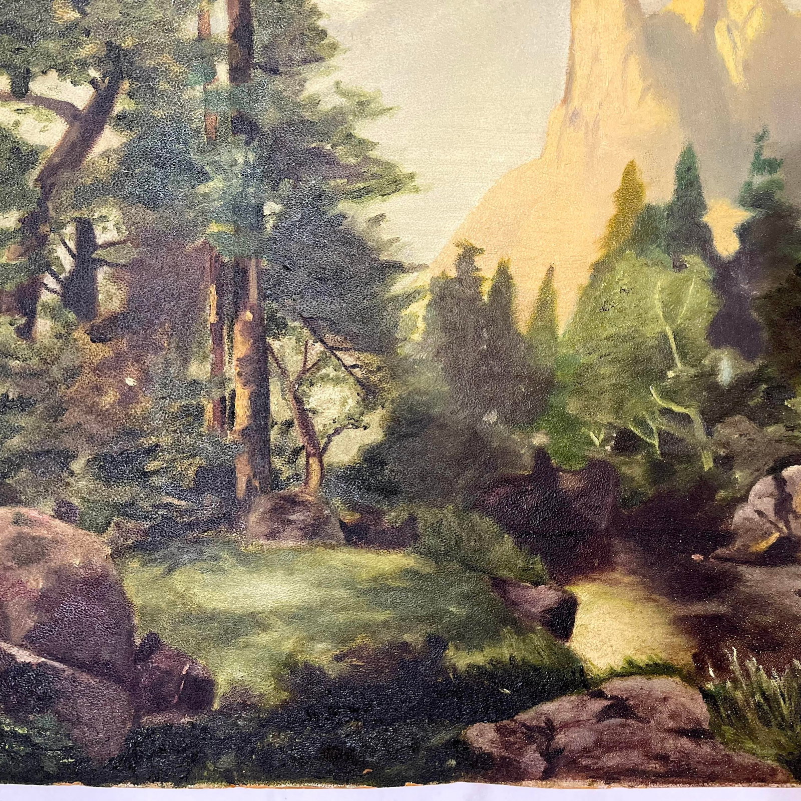 Sentinel Rock Through Pines Yosemite Oil on Board - After Thomas Moran Circa 1915 - 7