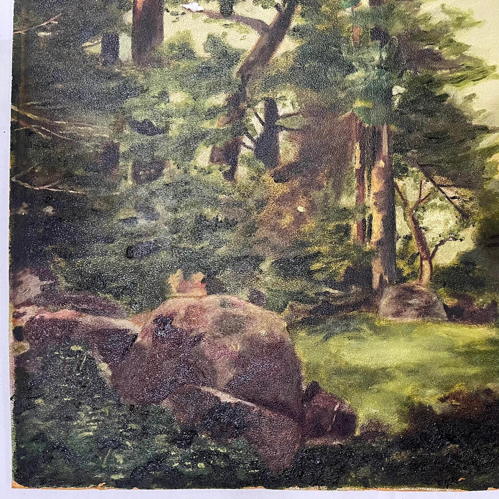 Sentinel Rock Through Pines Yosemite Oil on Board - After Thomas Moran Circa 1915 - 8