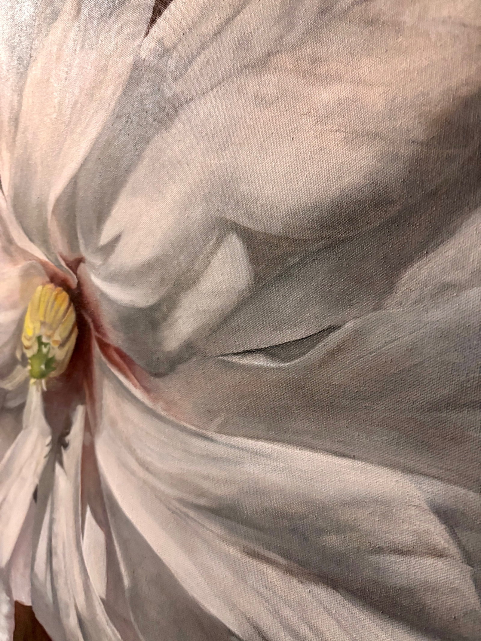 Framed Oil on Canvas Magnolia by Shelly Gurton Titled "Margaux" - 7