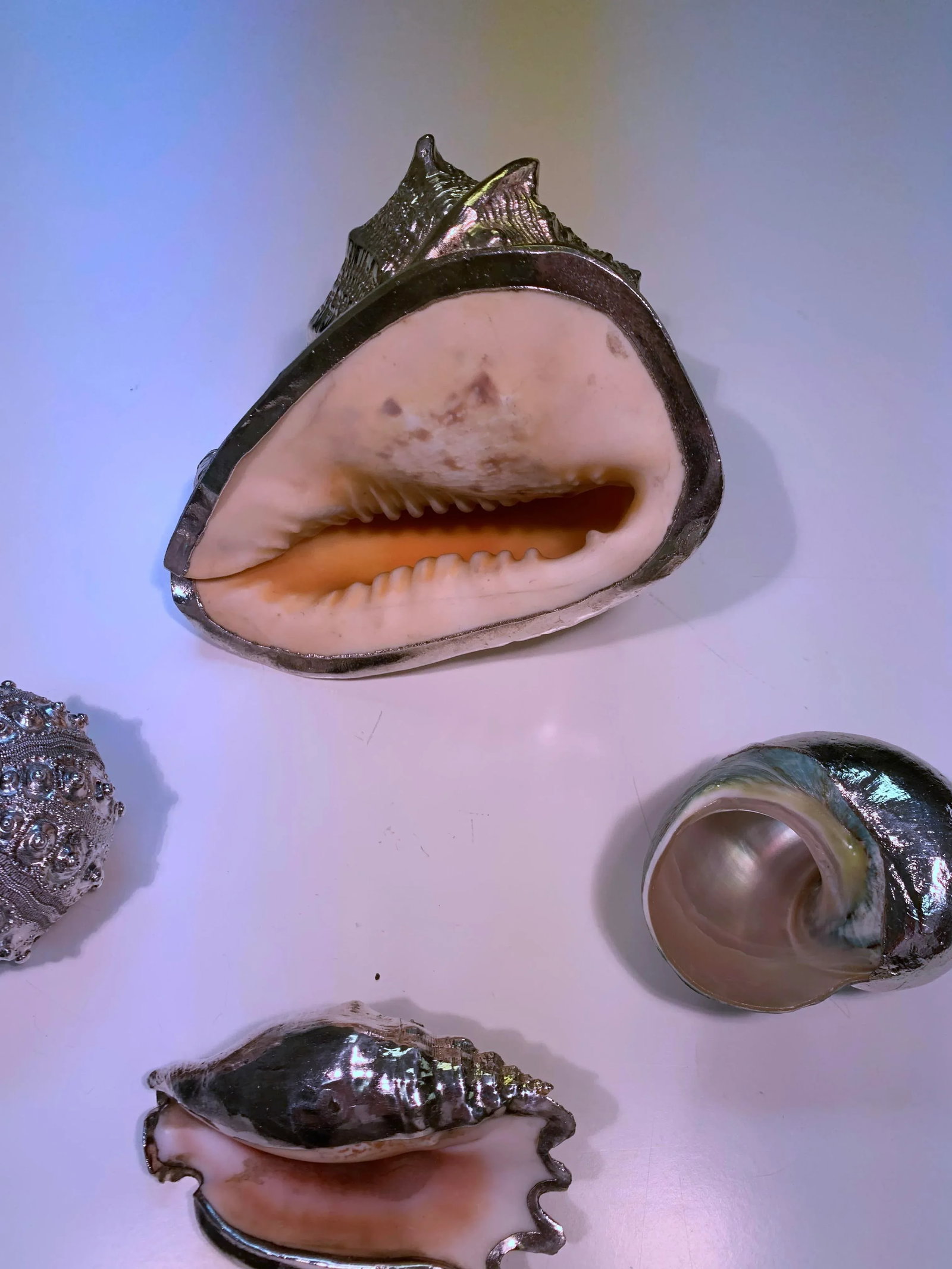 Vintage Shells Dipped in Sterling- Set of 4 - 12