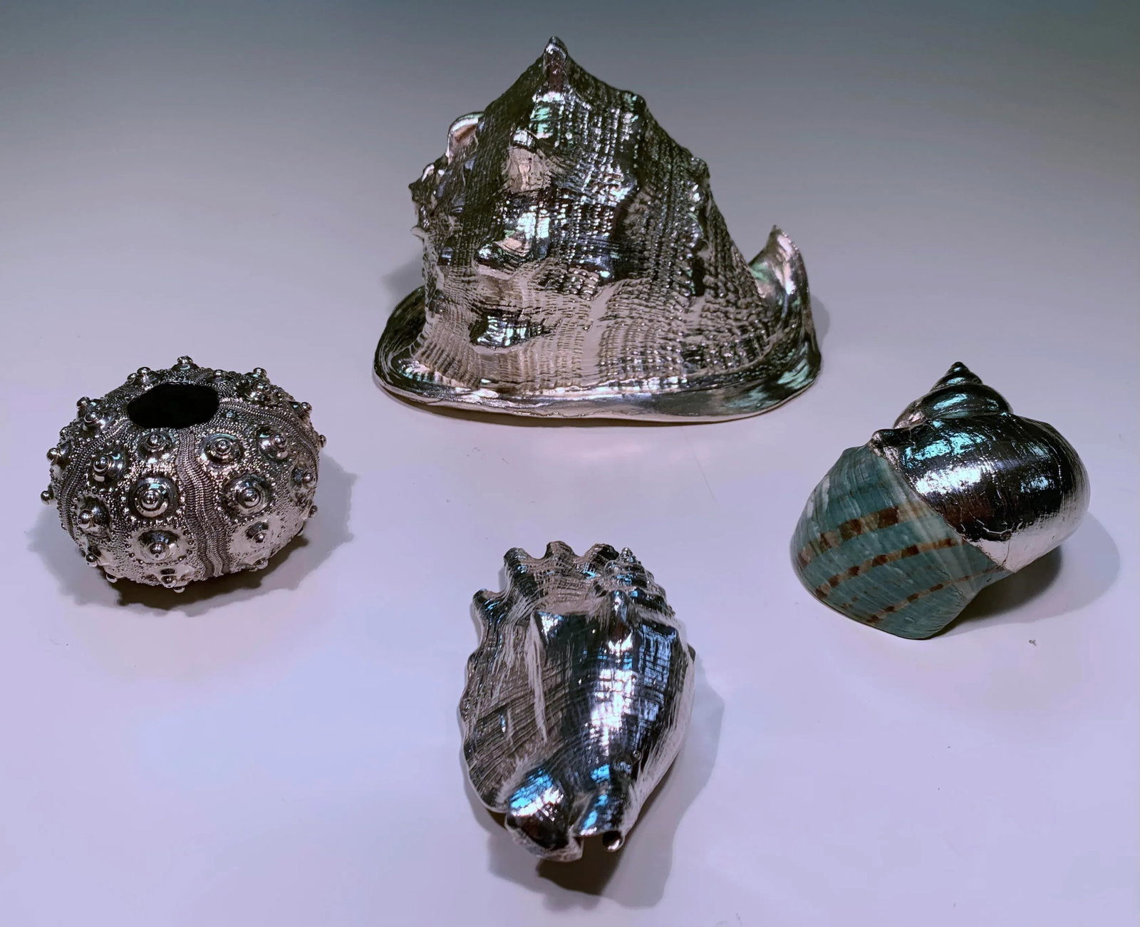 Vintage Shells Dipped in Sterling- Set of 4 - 13
