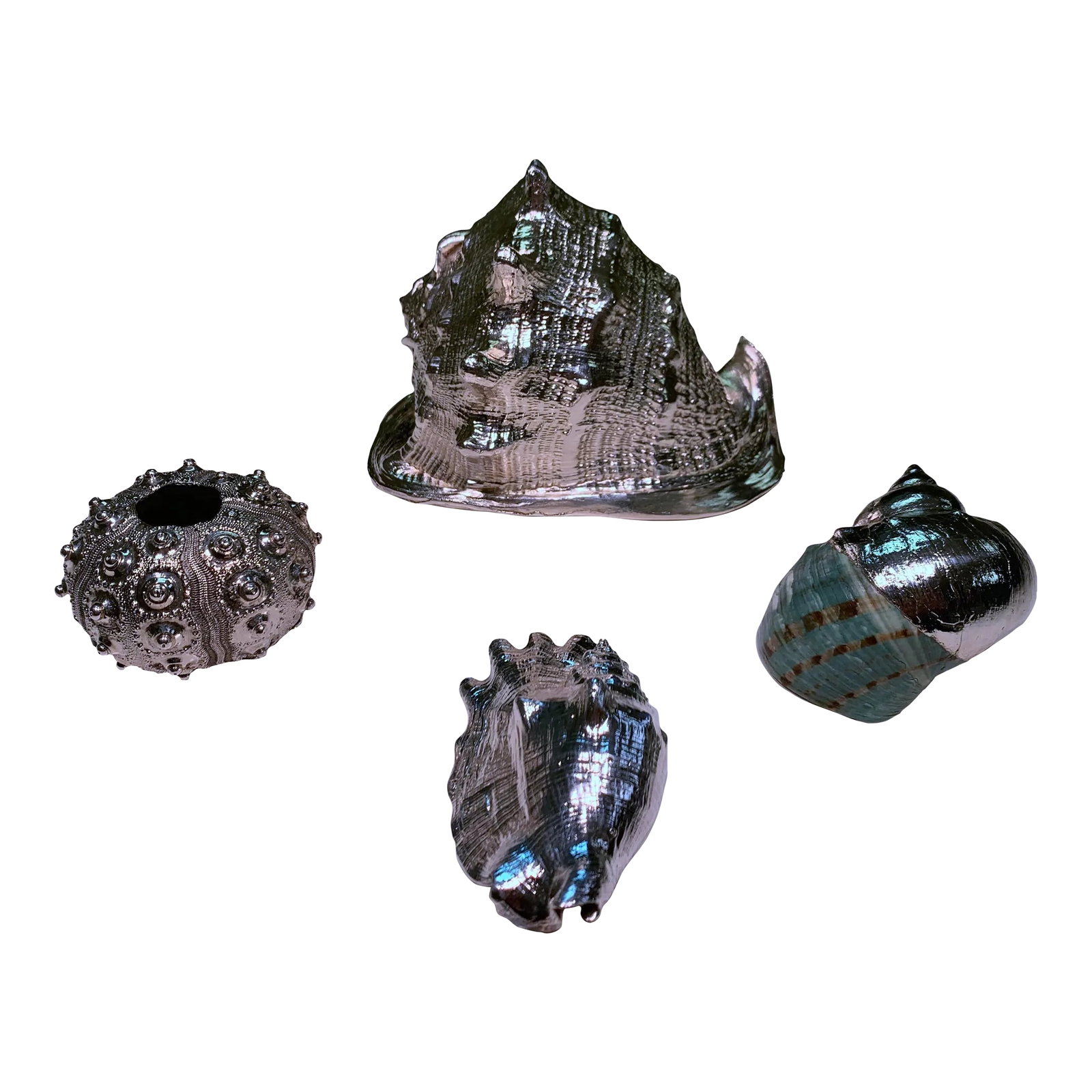 Vintage Shells Dipped in Sterling- Set of 4: Vintage organic collection of seashells. The shells are hand dipped in sterling. (1) 7 x5 x5 (1) 3x3x2 (1) 4x2x2 (1)3x3x1 Condition: Alterations: Original Condition Unaltered Imperfections: Some