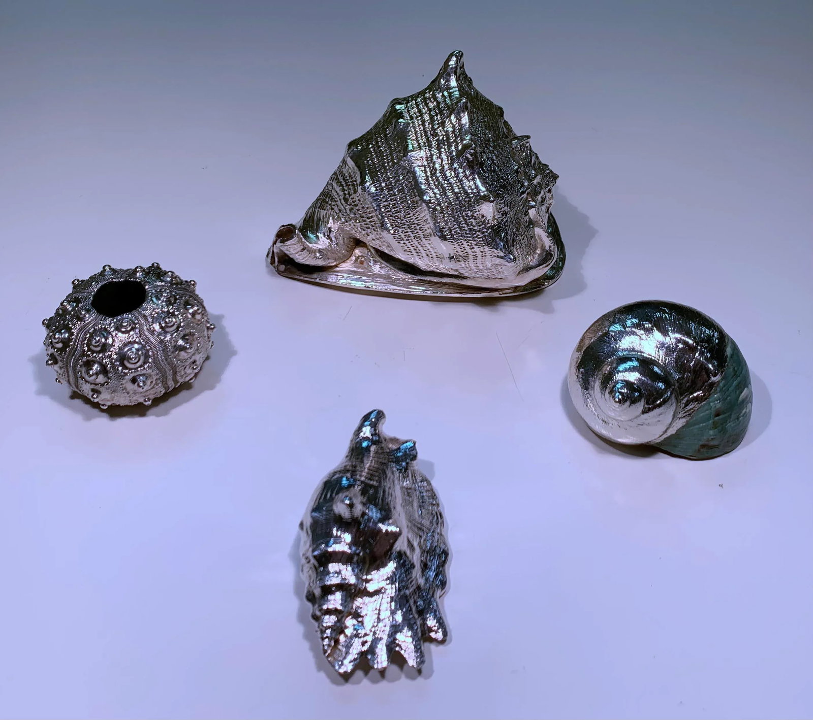 Vintage Shells Dipped in Sterling- Set of 4 - 2