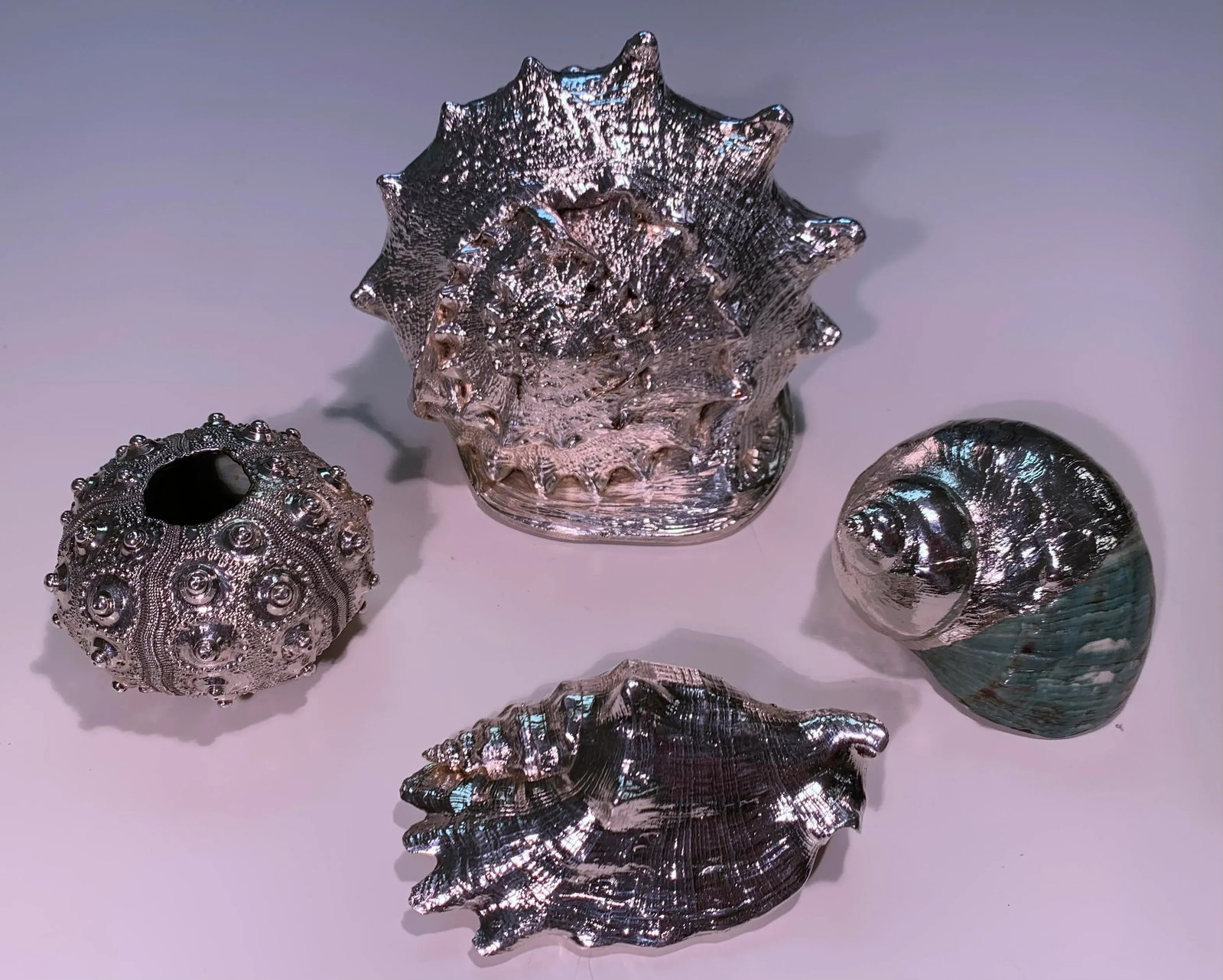 Vintage Shells Dipped in Sterling- Set of 4 - 3