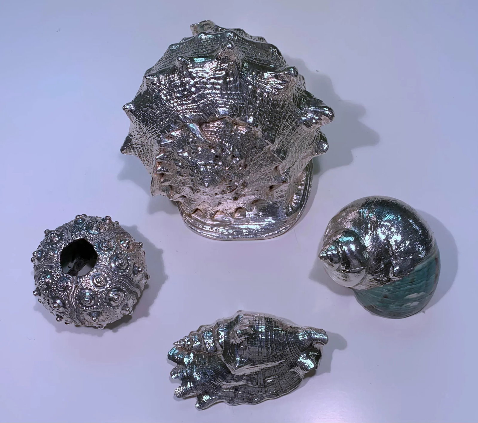Vintage Shells Dipped in Sterling- Set of 4 - 4