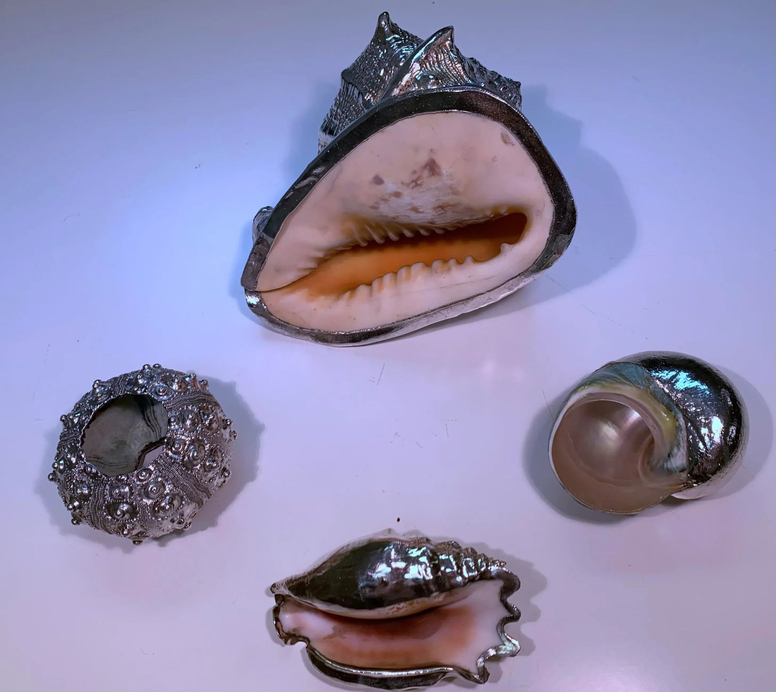 Vintage Shells Dipped in Sterling- Set of 4 - 5