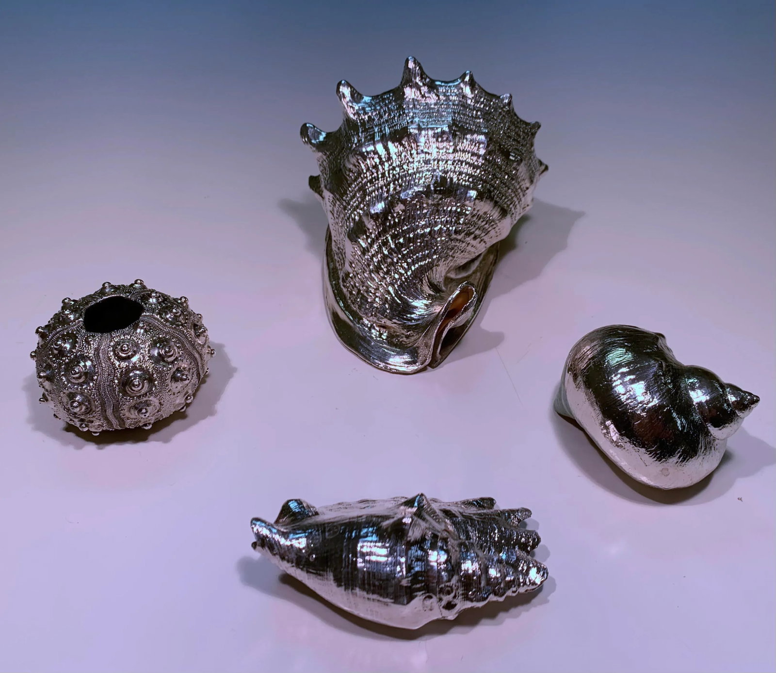 Vintage Shells Dipped in Sterling- Set of 4 - 6