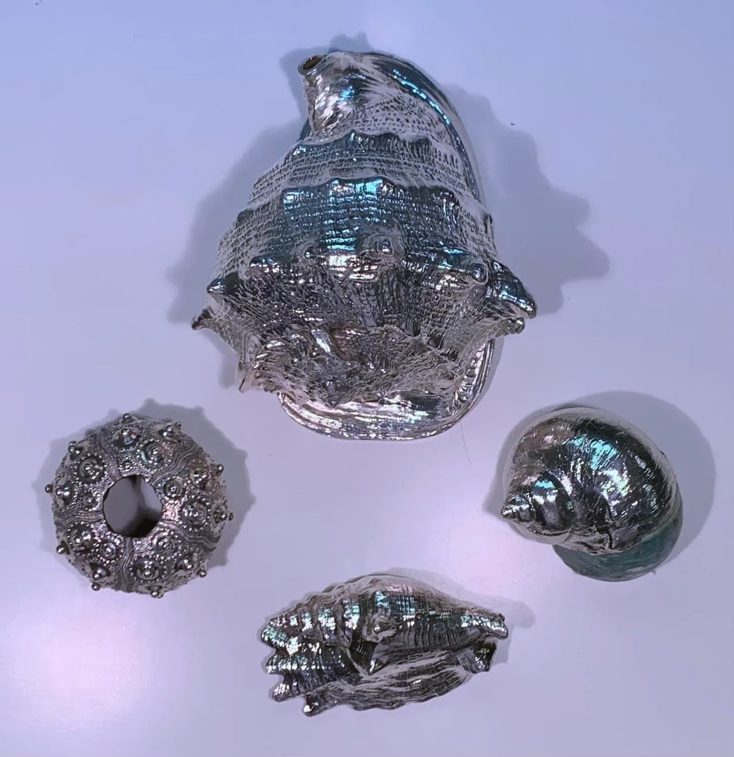 Vintage Shells Dipped in Sterling- Set of 4 - 9