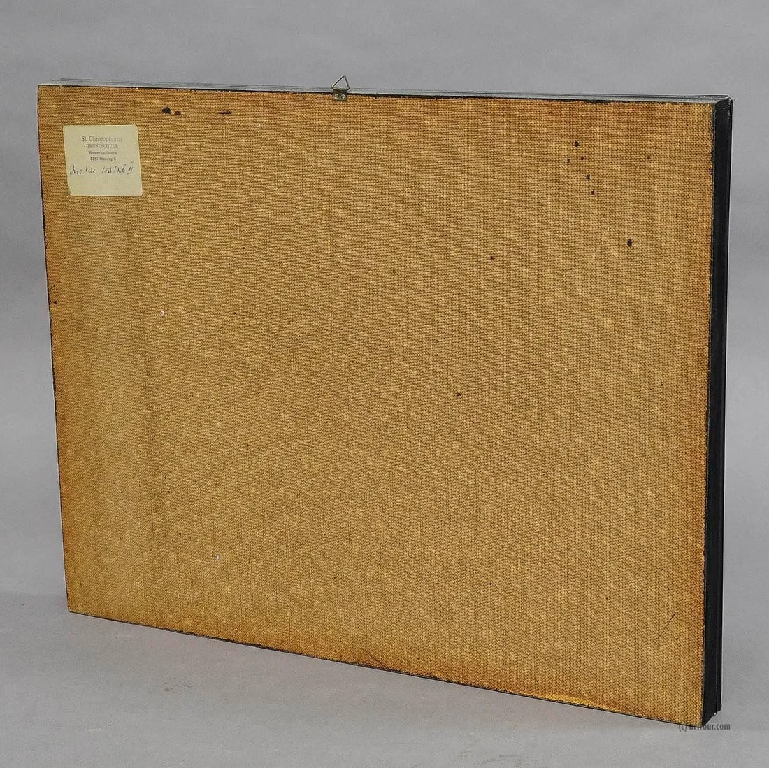 A Great Vintage School Teaching Display of the Insects of the Grassland - 6