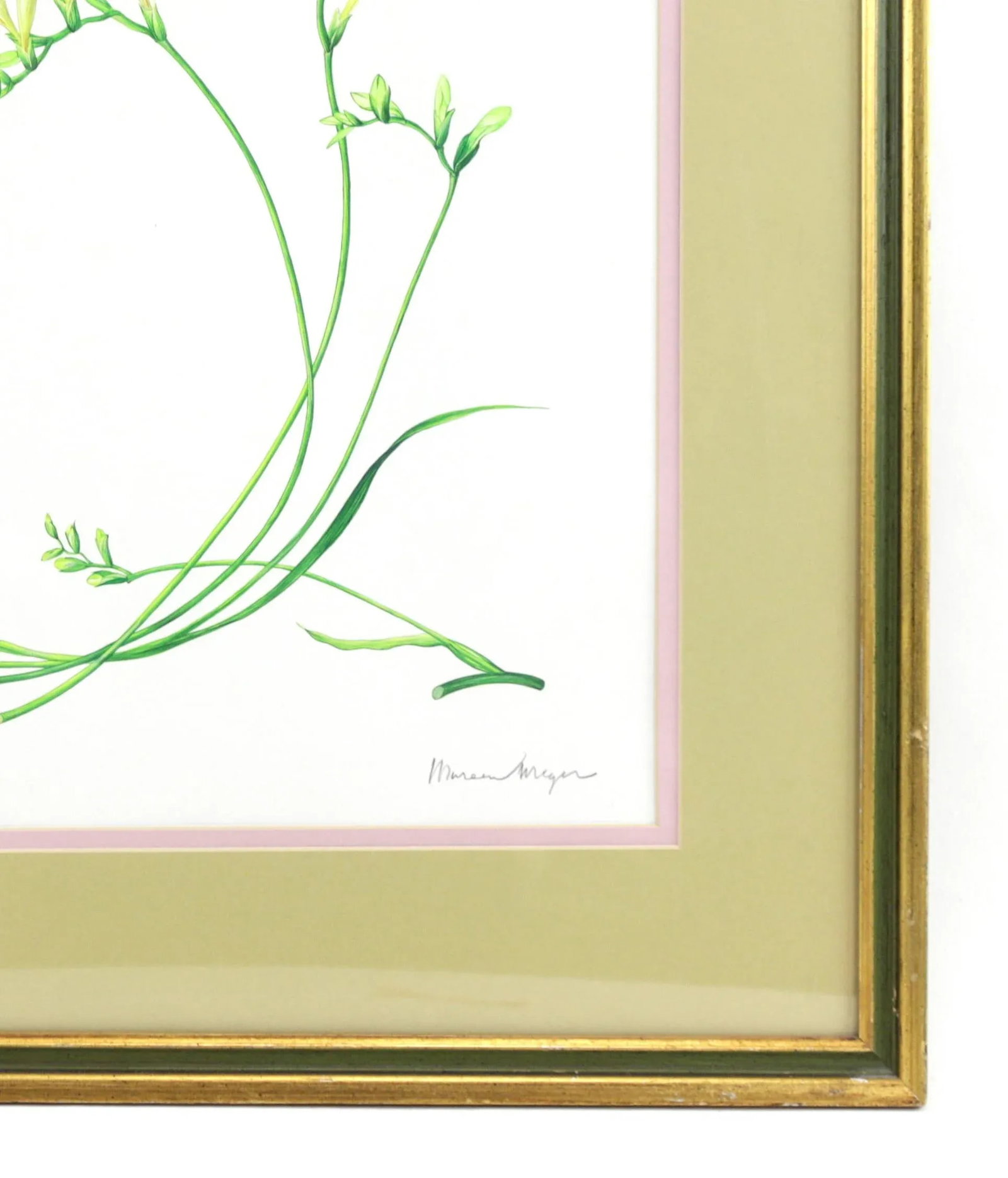 Vintage Hand-Painted Plant Specimen Watercolor Freesia Flower (With Frame). Signed in the Lower Righ - 4