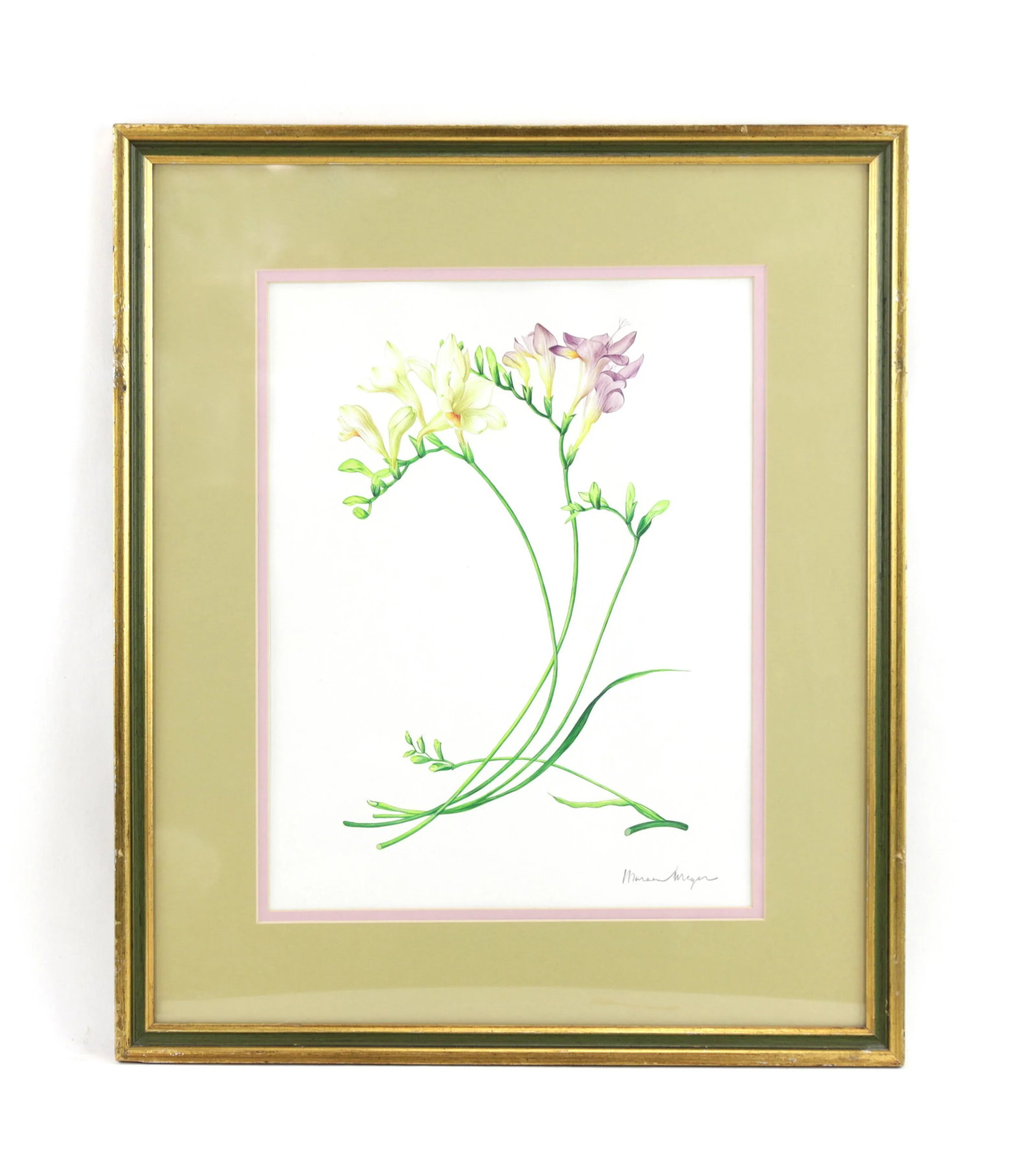 Vintage Hand-Painted Plant Specimen Watercolor Freesia Flower (With Frame). Signed in the Lower Righ - 9
