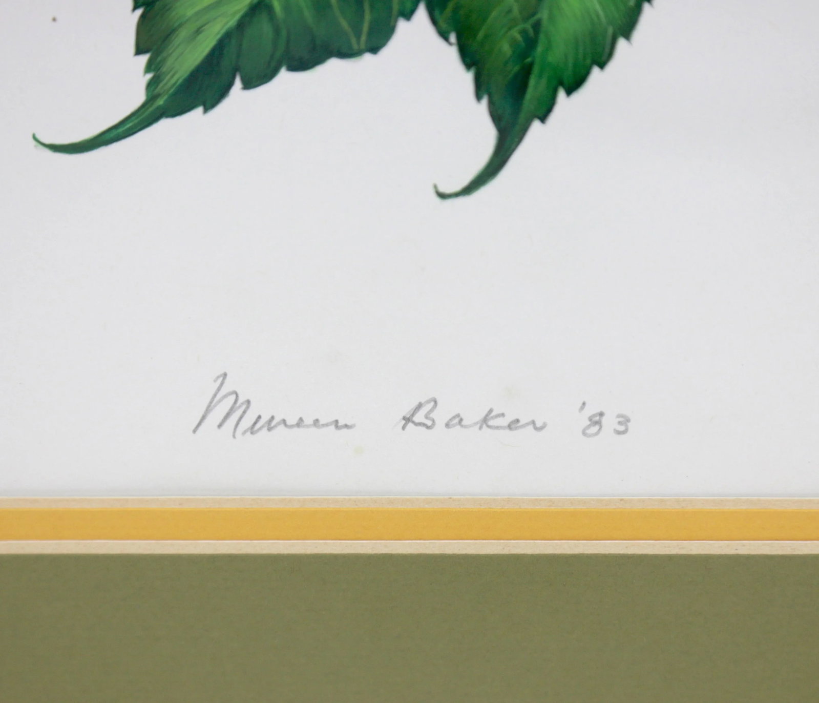 Vintage Hand-Painted Plant Specimen Watercolor Trumpet Creeper (With Frame). Signed in the Lower Rig - 3