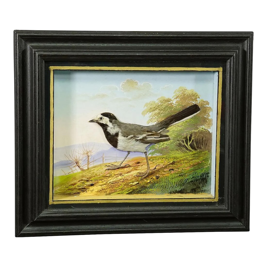 Victorian Taxidermy Diorama With White Wagtail Ca. 1900: Victorian Taxidermy Diorama with White Wagtail ca. 1900 An antique diorama with a taxidermied white wagtail (Motacilla alba) sitting in a handpainted landscape. Mounted in a wooden case with ebonized