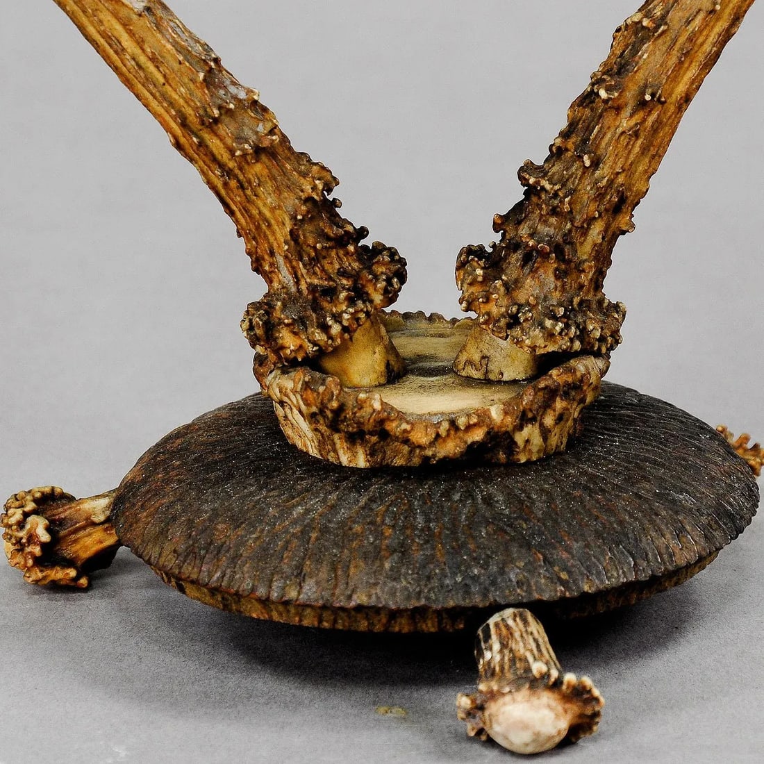 Antique Cabin Decor Two-Armed Antler Candlestick 1900 - 4