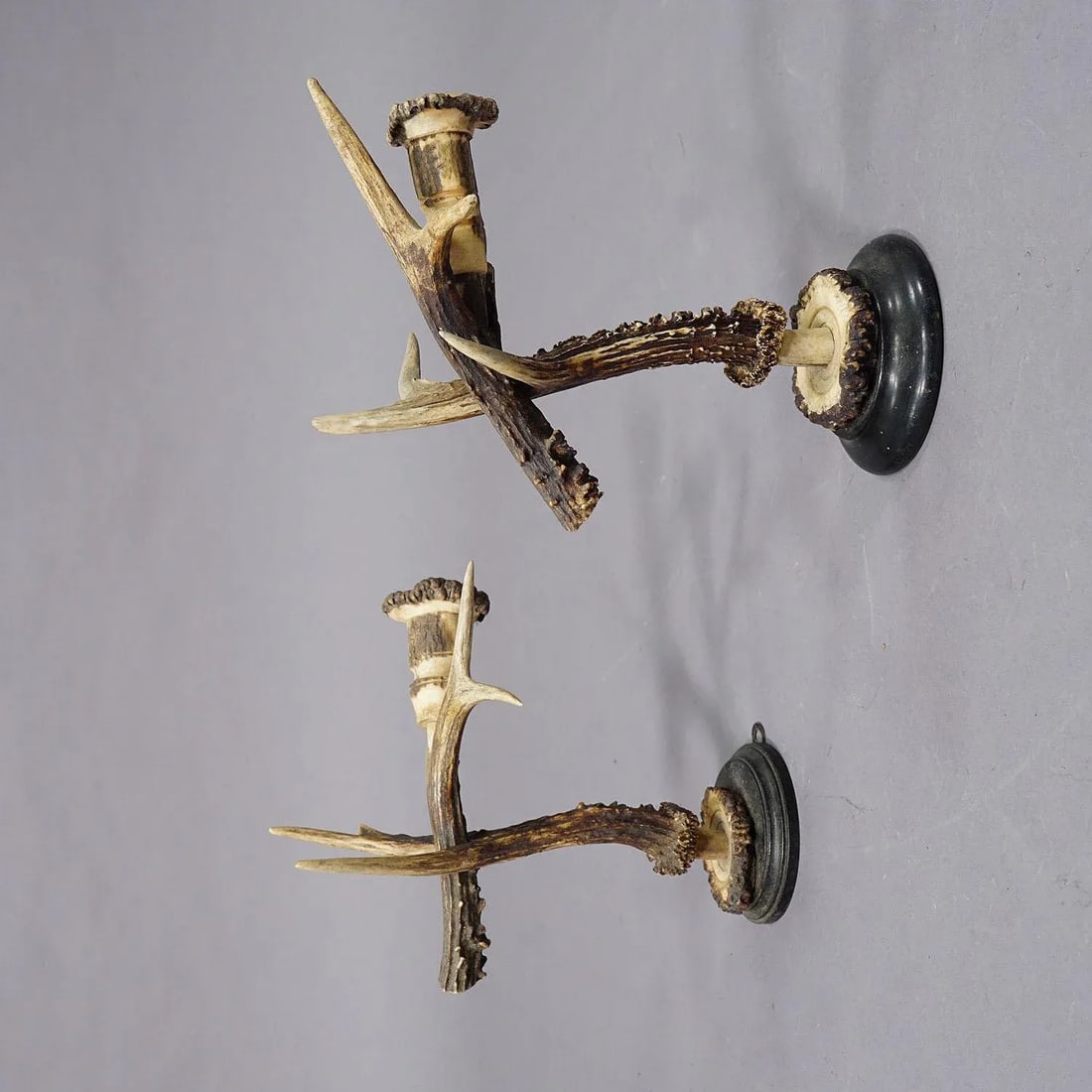 A Pair Great Black Forest Wall Sconces With Deer Horns, Germany Ca. 1900 - 3