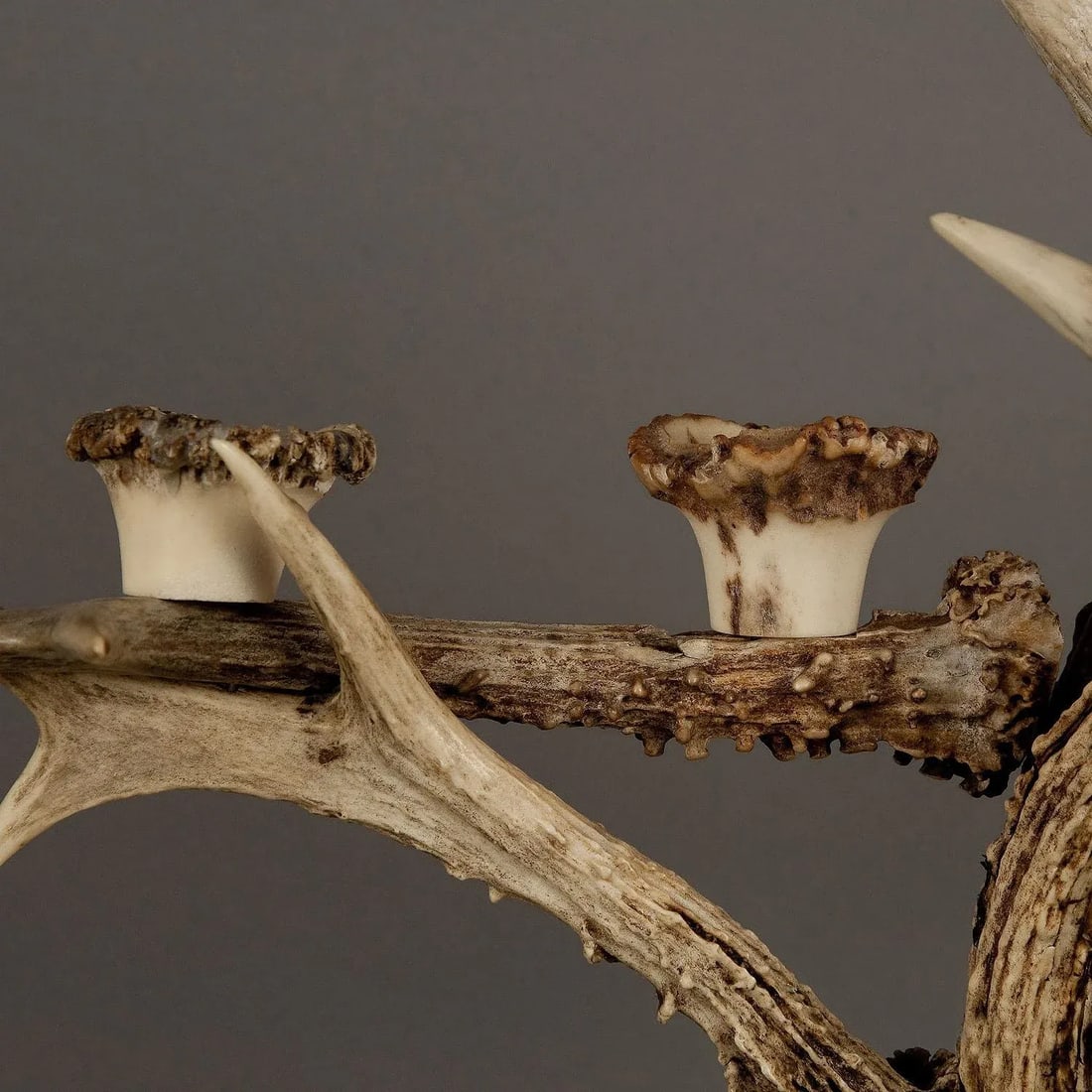 Large Antler Candle Holder Ca. 1900 - 3