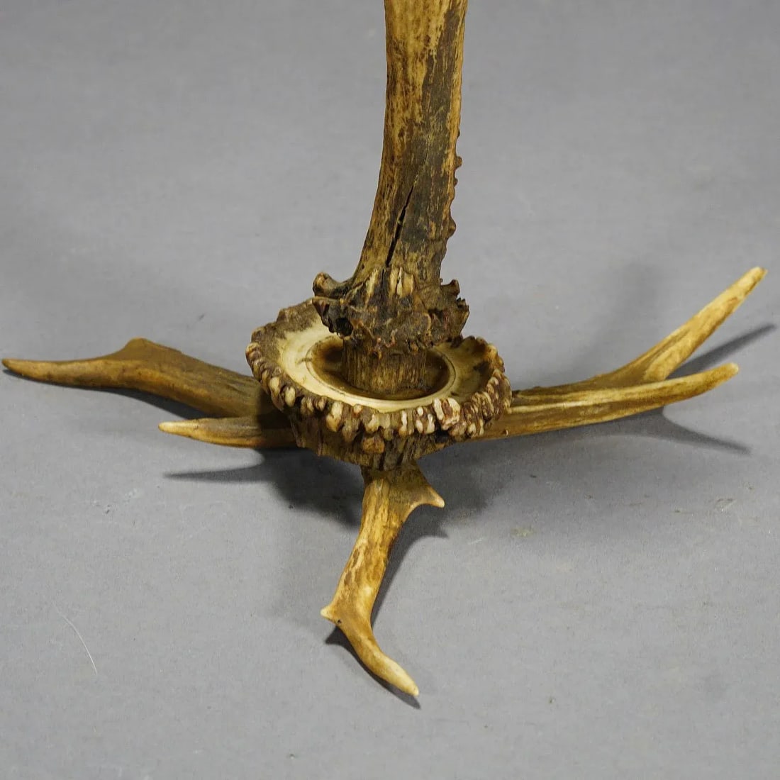 Stylish Cabin Decor Antler Candlestick, Germany Ca. 1900 - 5