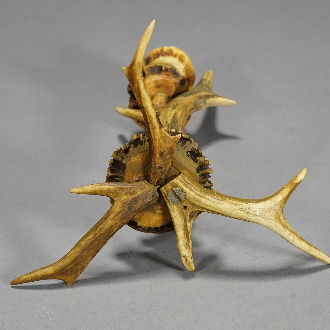 Stylish Cabin Decor Antler Candlestick, Germany Ca. 1900 - 6