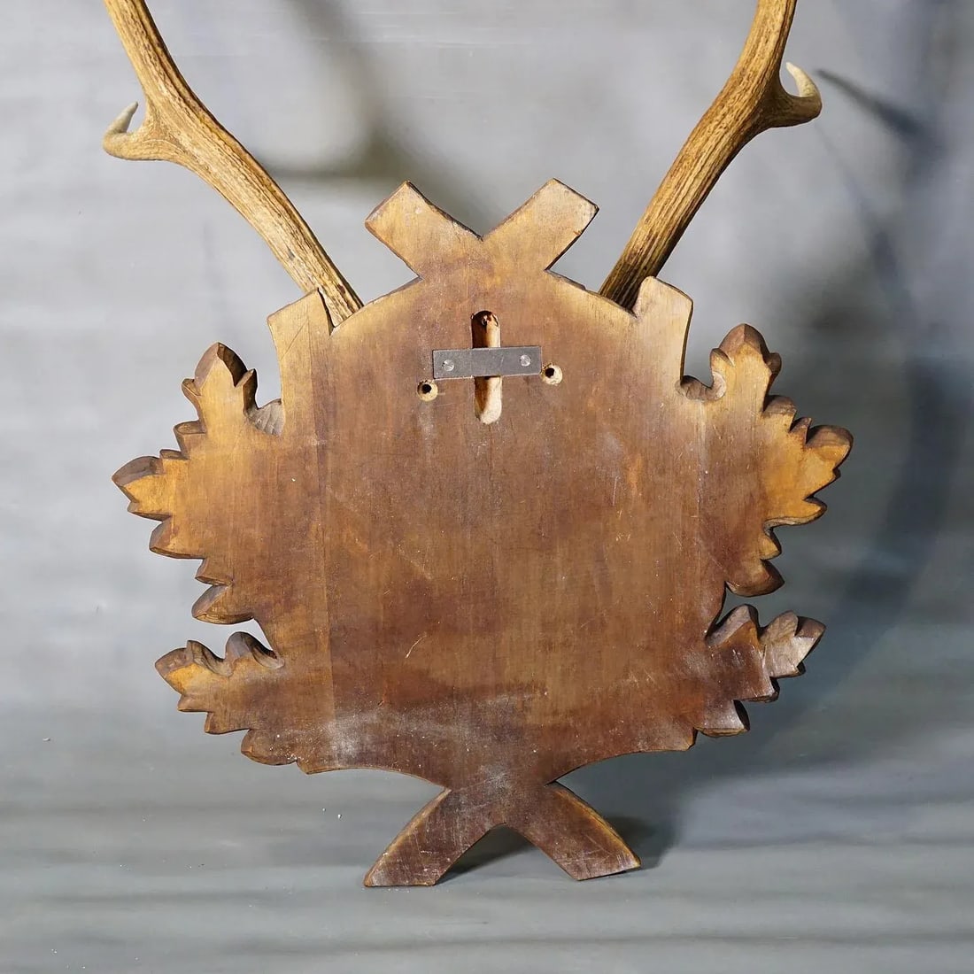 Large Black Forest Red Deer Trophy on Carved Plaque - Germany 1937 - 7