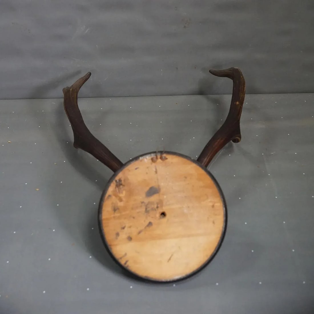 Great Antique Deer Trophy on Wooden Plaque, Germany 1917 - 4