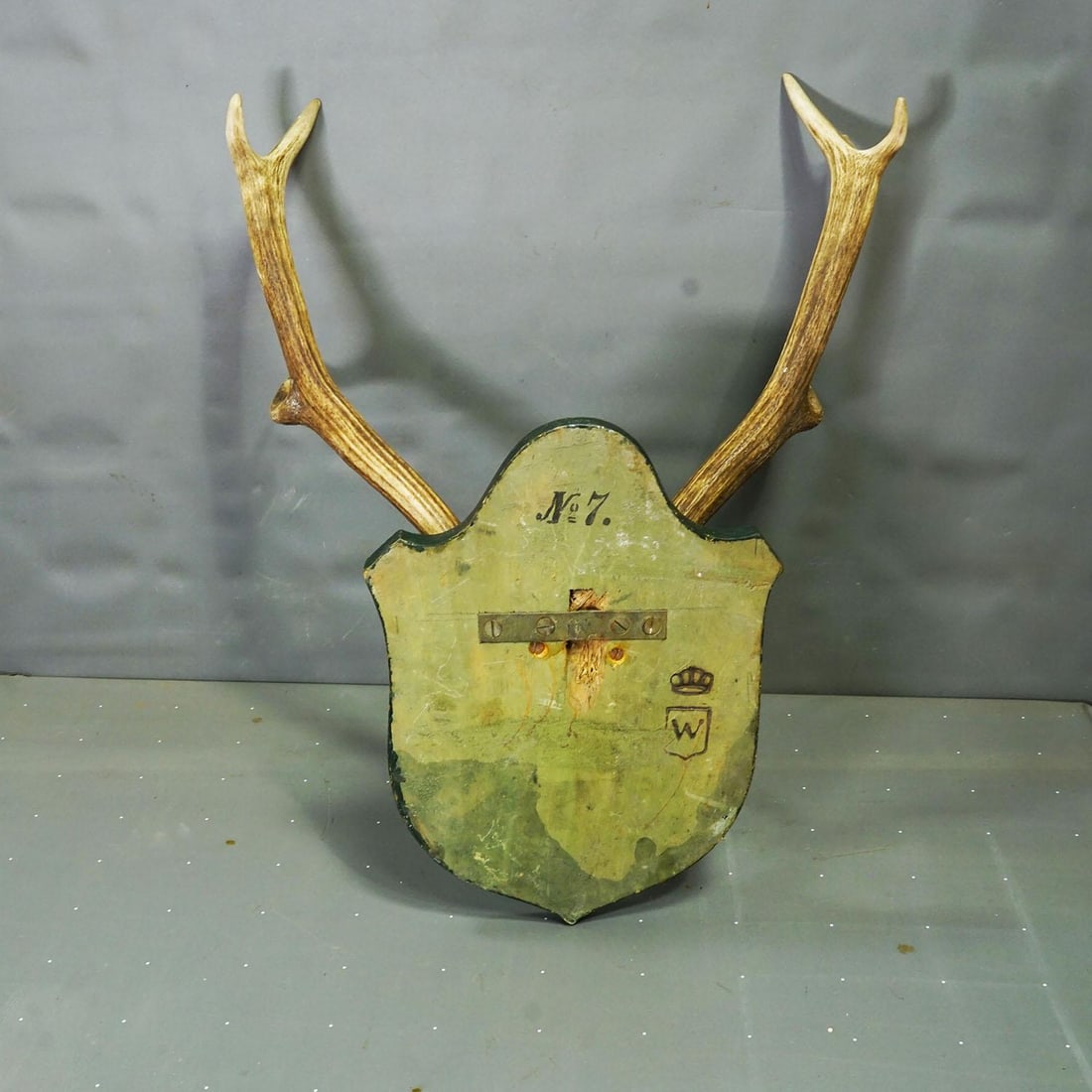 Large Black Forest Red Deer Trophy on Carved Plaque - Germany 1920 - 4