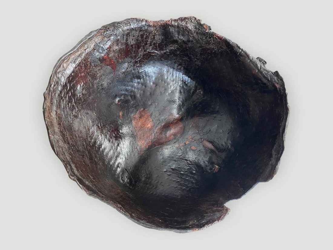 Polished Buffalo Hide Container - 13