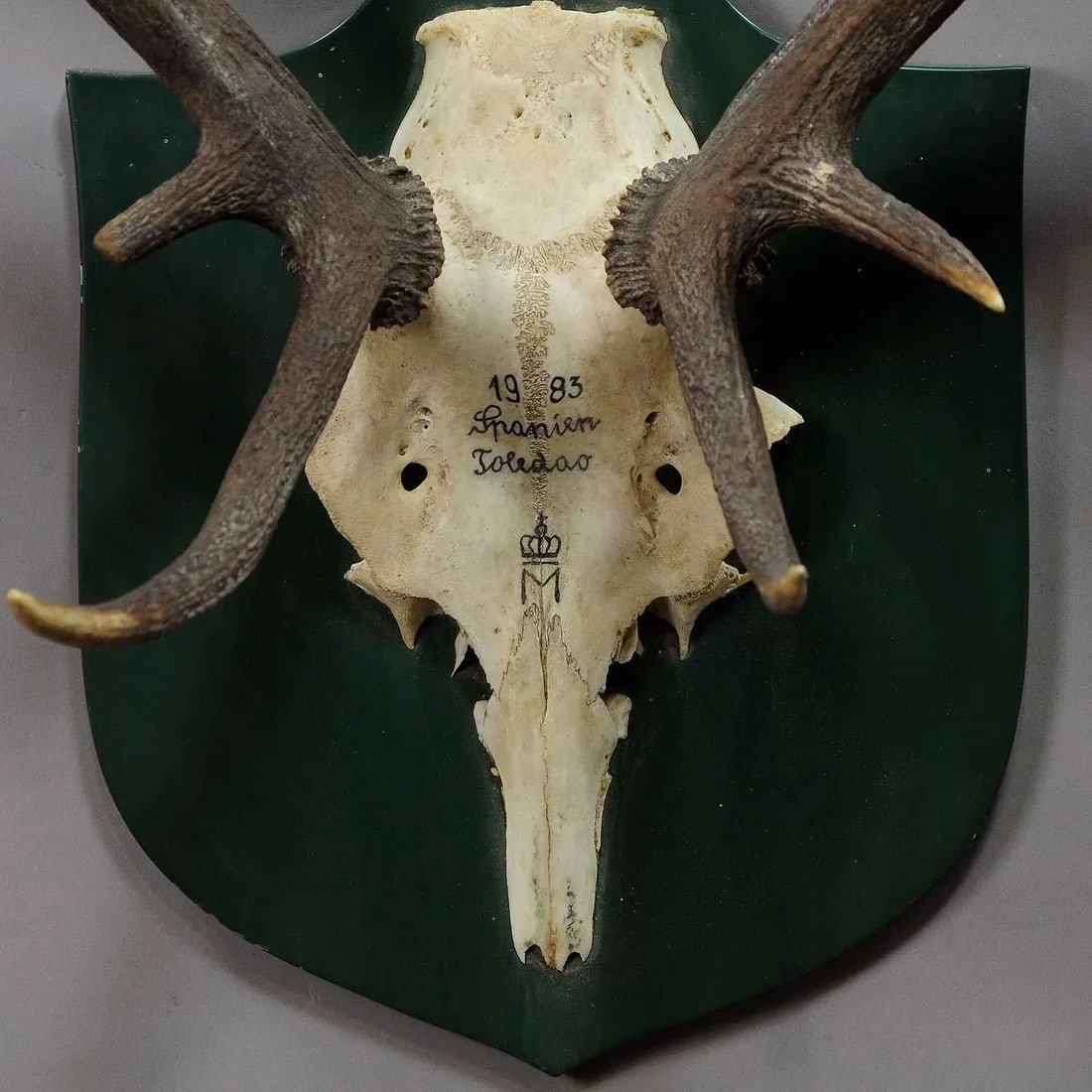 Vintage Deer Trophy Spain Toledao 1983 Uneven Twelve Ends - 2
