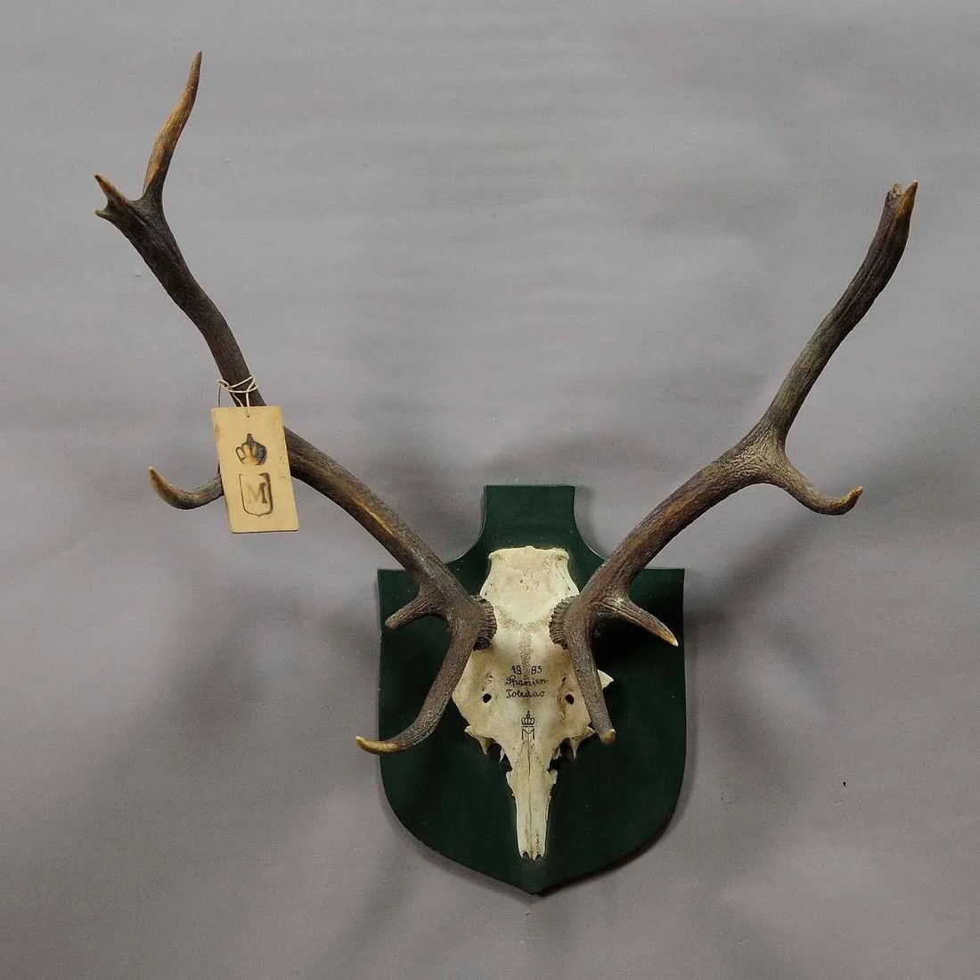 Vintage Deer Trophy Spain Toledao 1983 Uneven Twelve Ends - 3