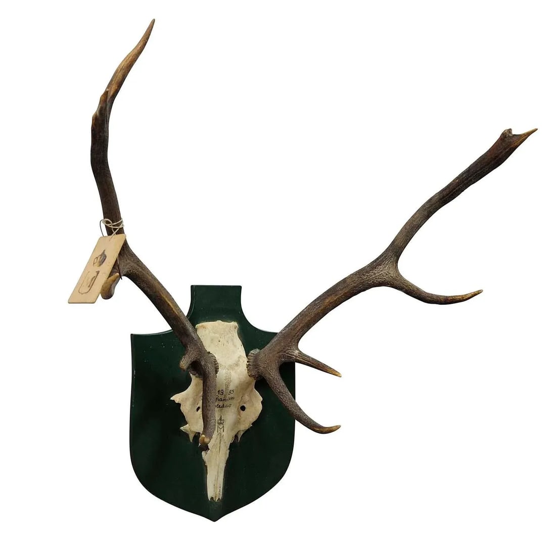 Vintage Deer Trophy Spain Toledao 1983 Uneven Twelve Ends - 4