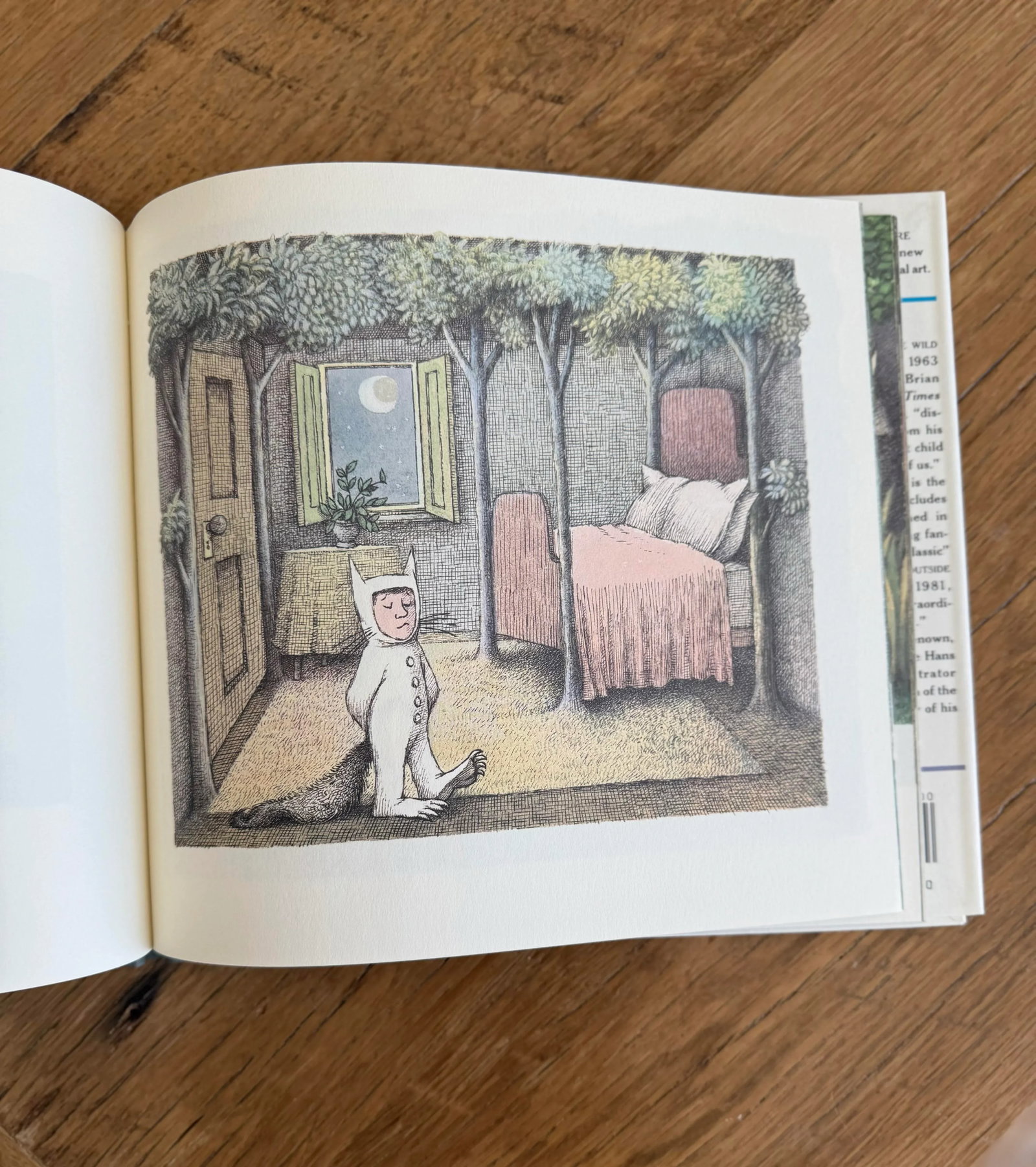 1988 Maurice Sendak Hardcover Children's Book Where the Wild Things Are 25th Anniversary Edition - 5