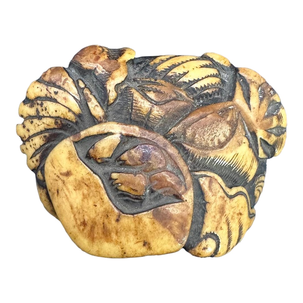 Antique Japanese Bone Netsuke, Sea Life, Edo Period, Belt Toggle (1 of 8)
