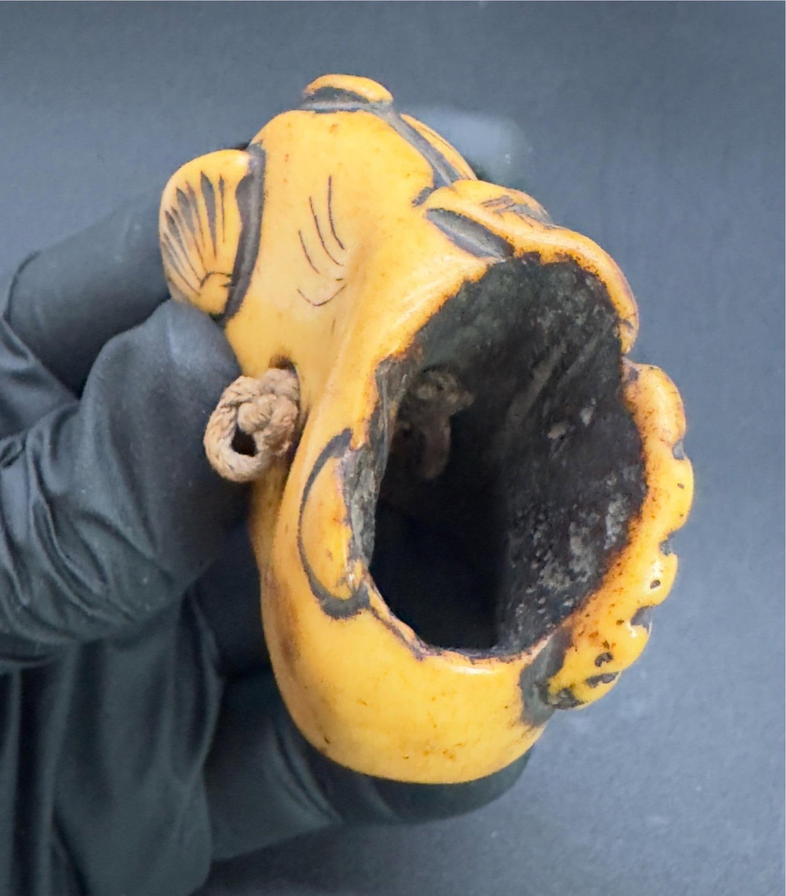 Antique Japanese Bone Netsuke, Sea Life, Edo Period, Belt Toggle - 3