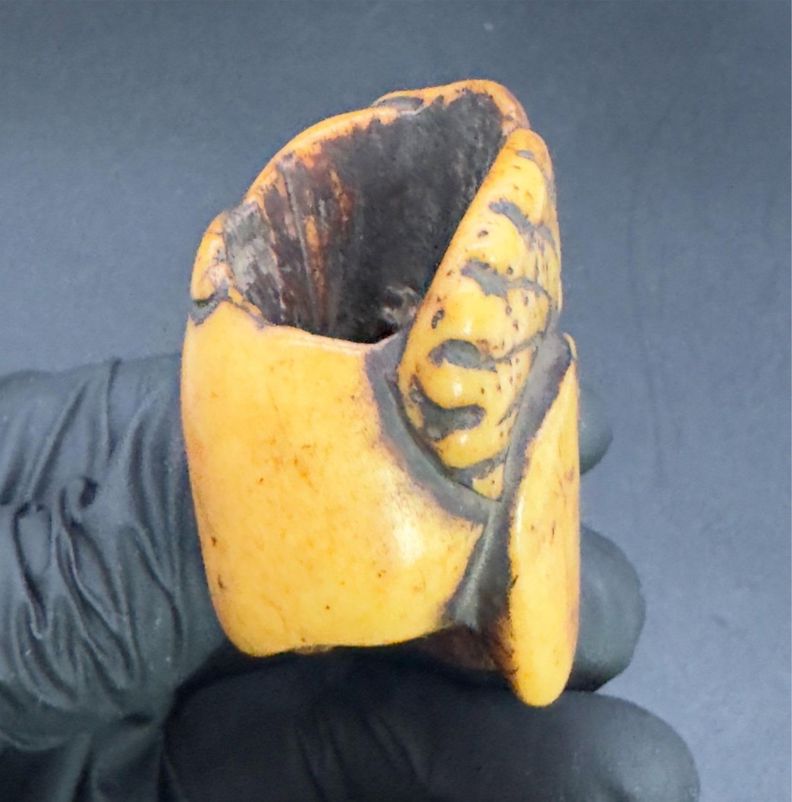Antique Japanese Bone Netsuke, Sea Life, Edo Period, Belt Toggle - 5