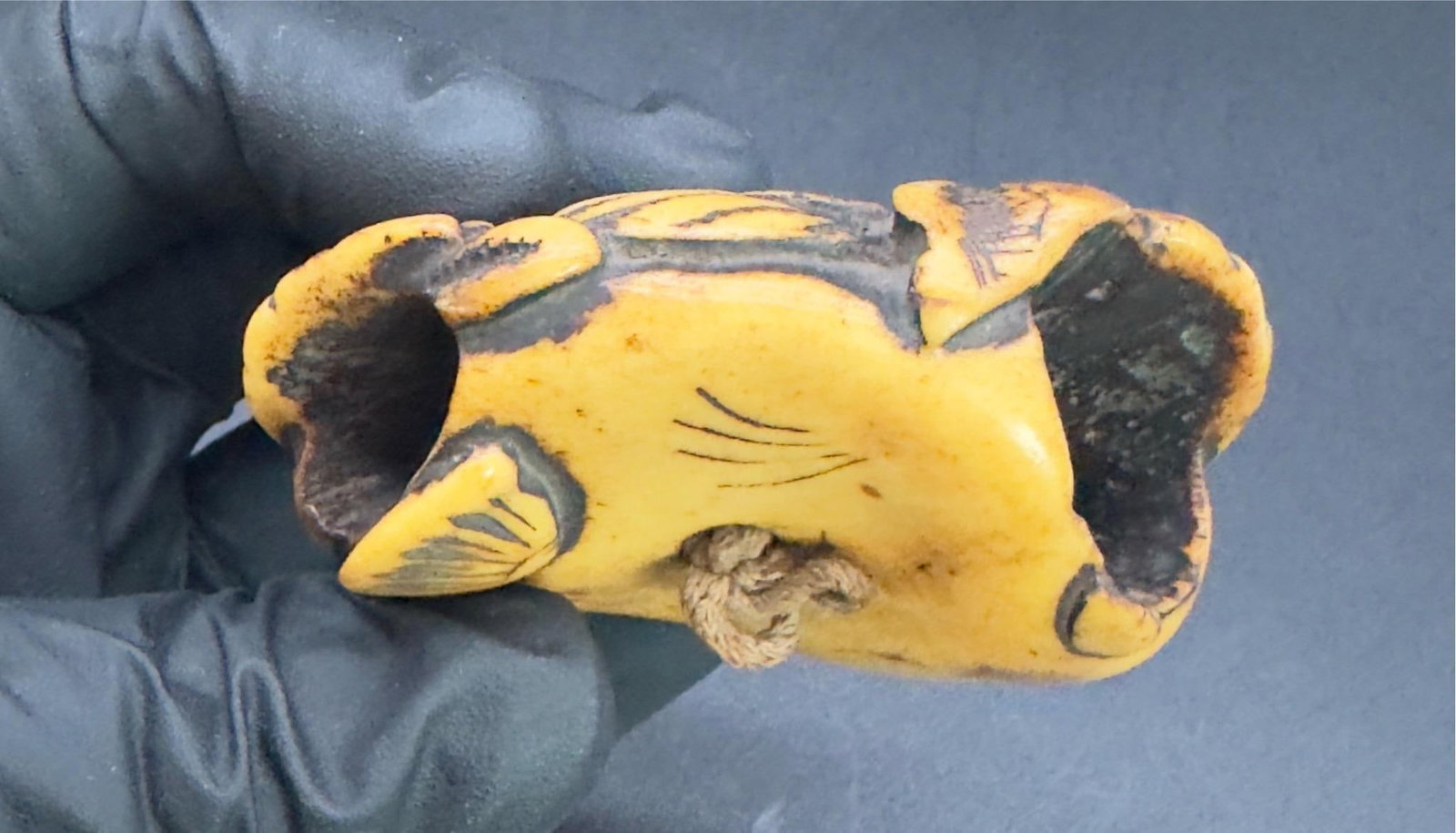 Antique Japanese Bone Netsuke, Sea Life, Edo Period, Belt Toggle - 7