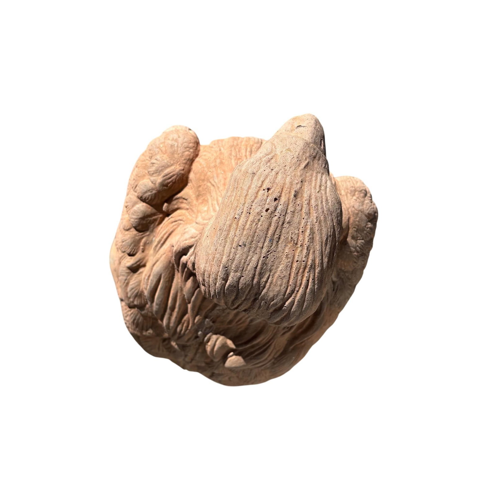 Tall Terracotta Eagle Garden Statue - 8