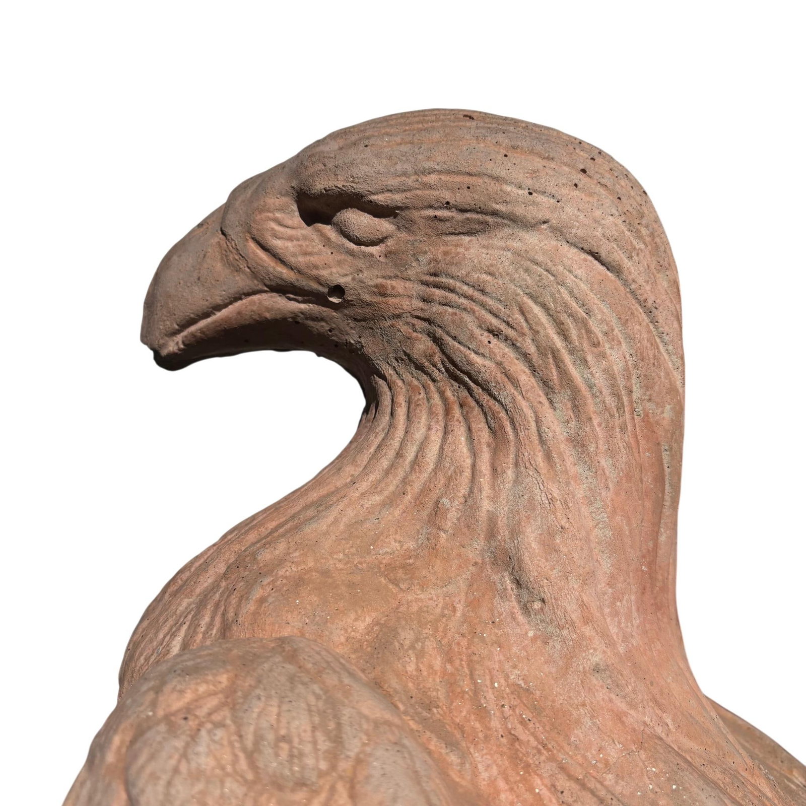 Tall Terracotta Eagle Garden Statue - 9