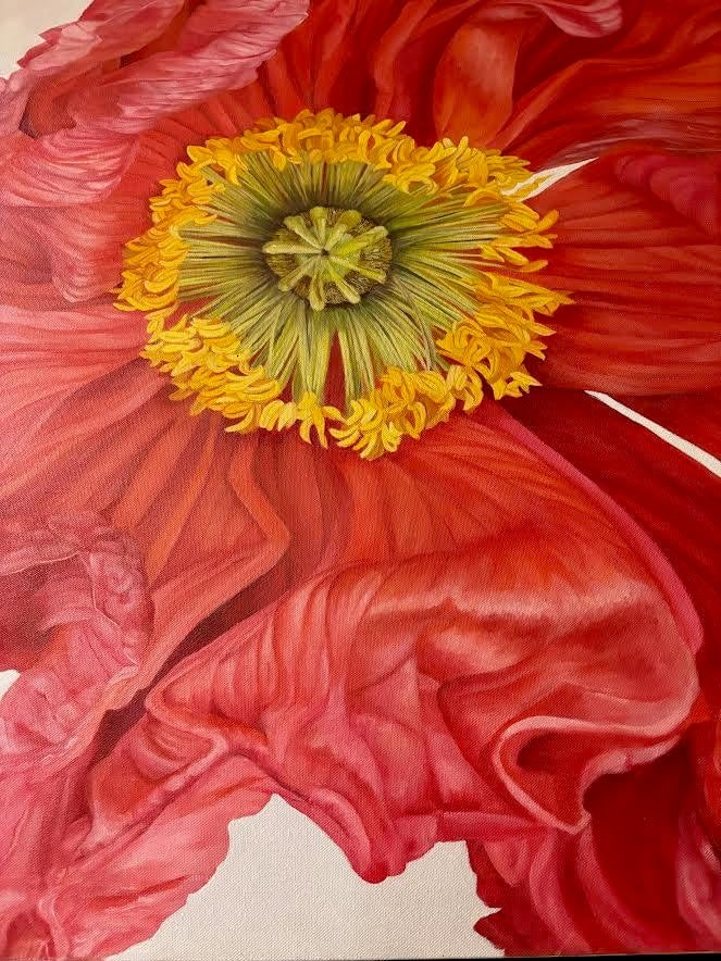 Iceland Poppy Framed Oil on Canvas by Shelly Gurton Titled "Riva" - 2