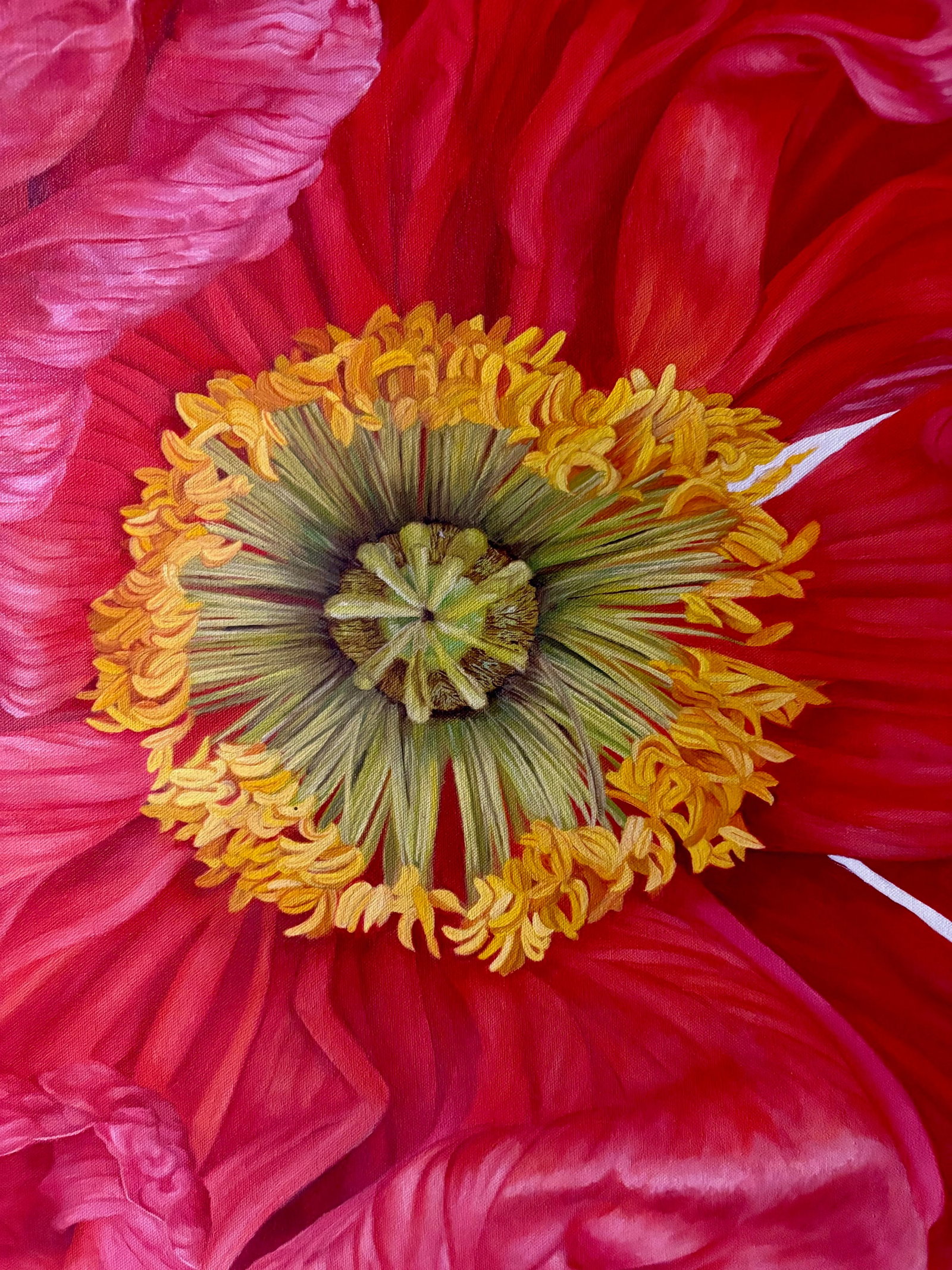 Iceland Poppy Framed Oil on Canvas by Shelly Gurton Titled "Riva" - 7