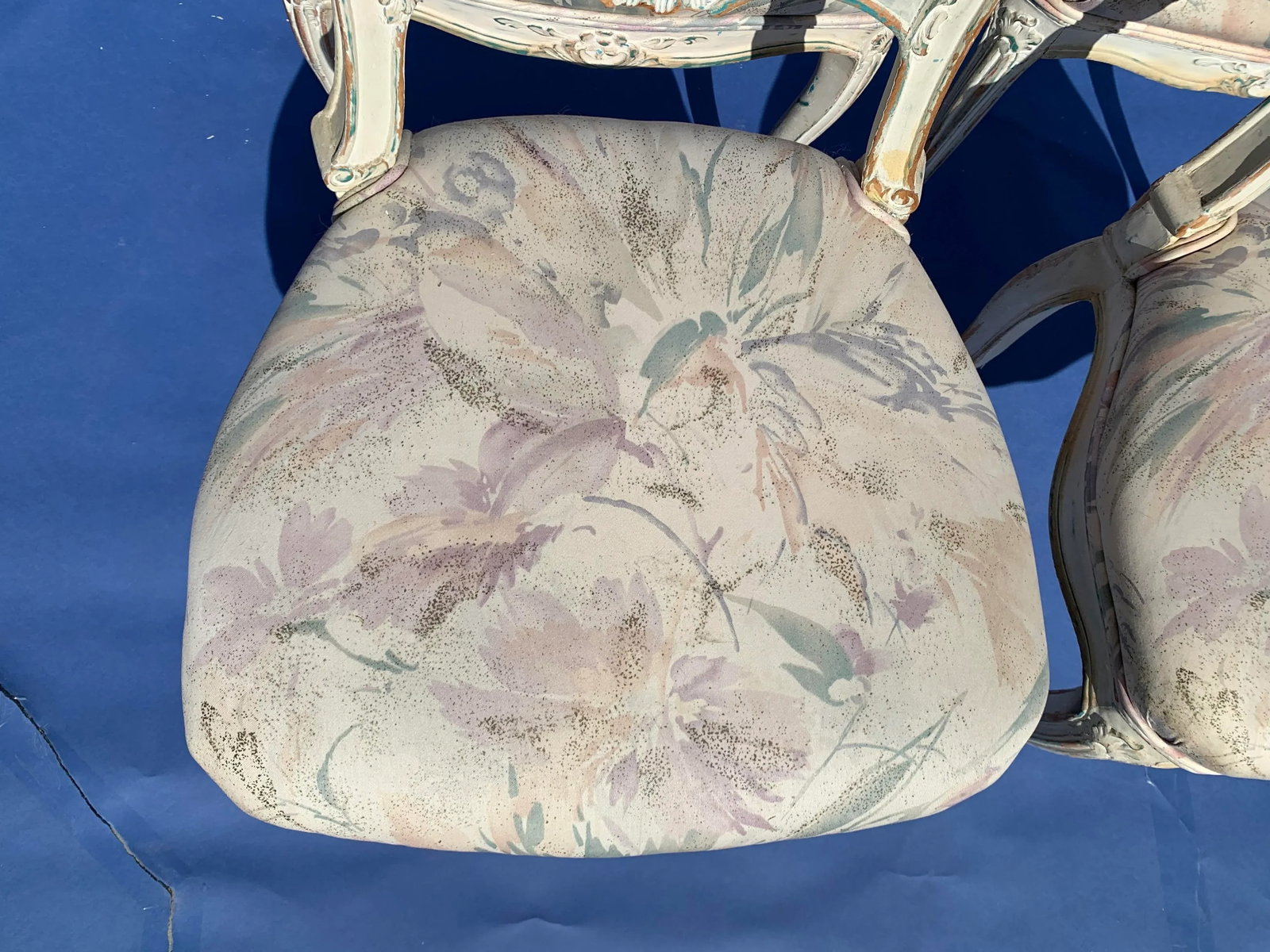 Antique French Provincial Painted Cane Side Chairs, Set of 4 - 10