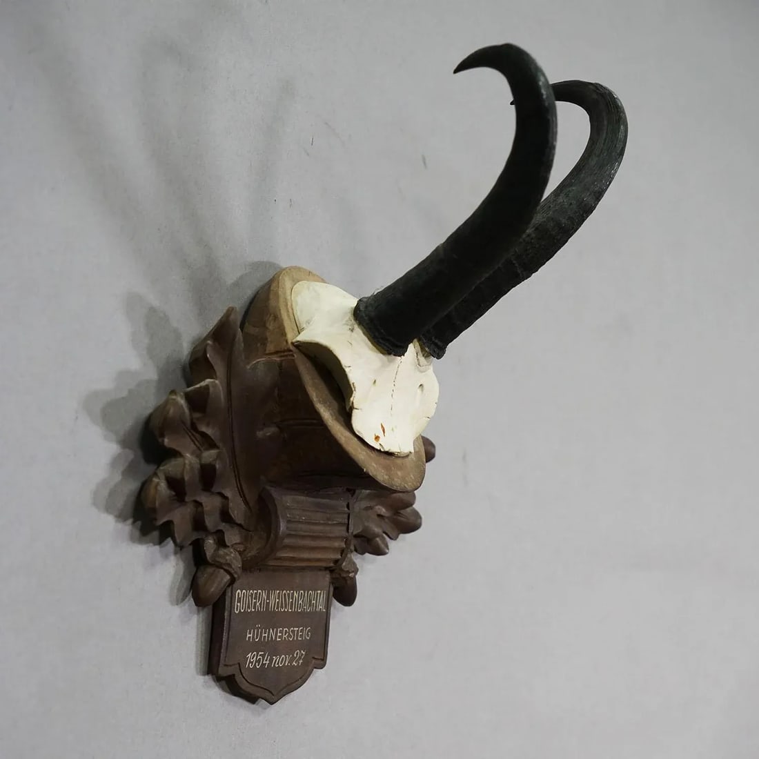 Large Chamois Trophy on Carved Plaque, Austria 1954 - 3