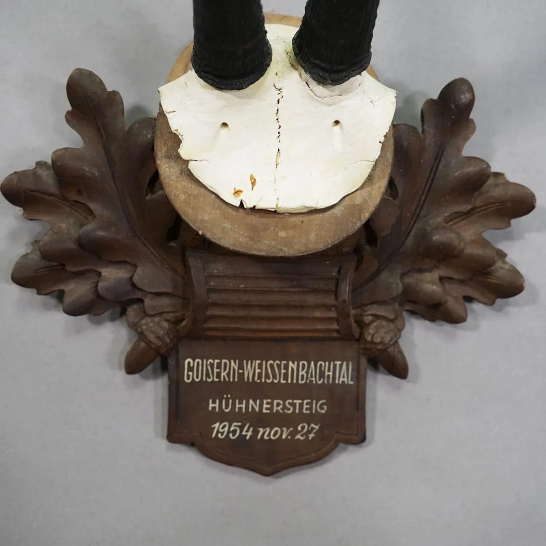Large Chamois Trophy on Carved Plaque, Austria 1954 - 4