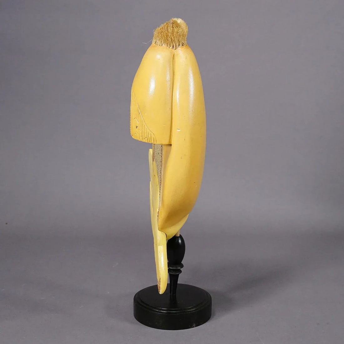Antique Teaching Model Longitudinal Profile of the Grain - 2