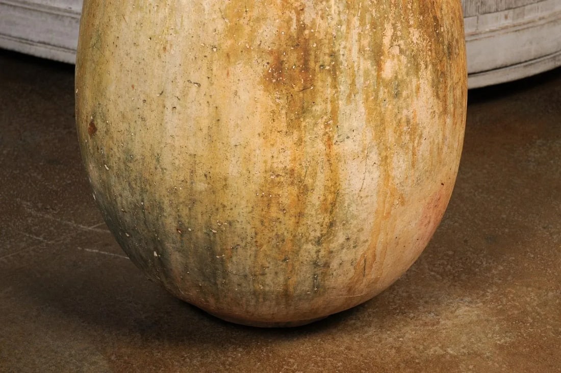 Large Size French Provincial 19th Century Glazed Terracotta Biot Olive Oil Jar - 9