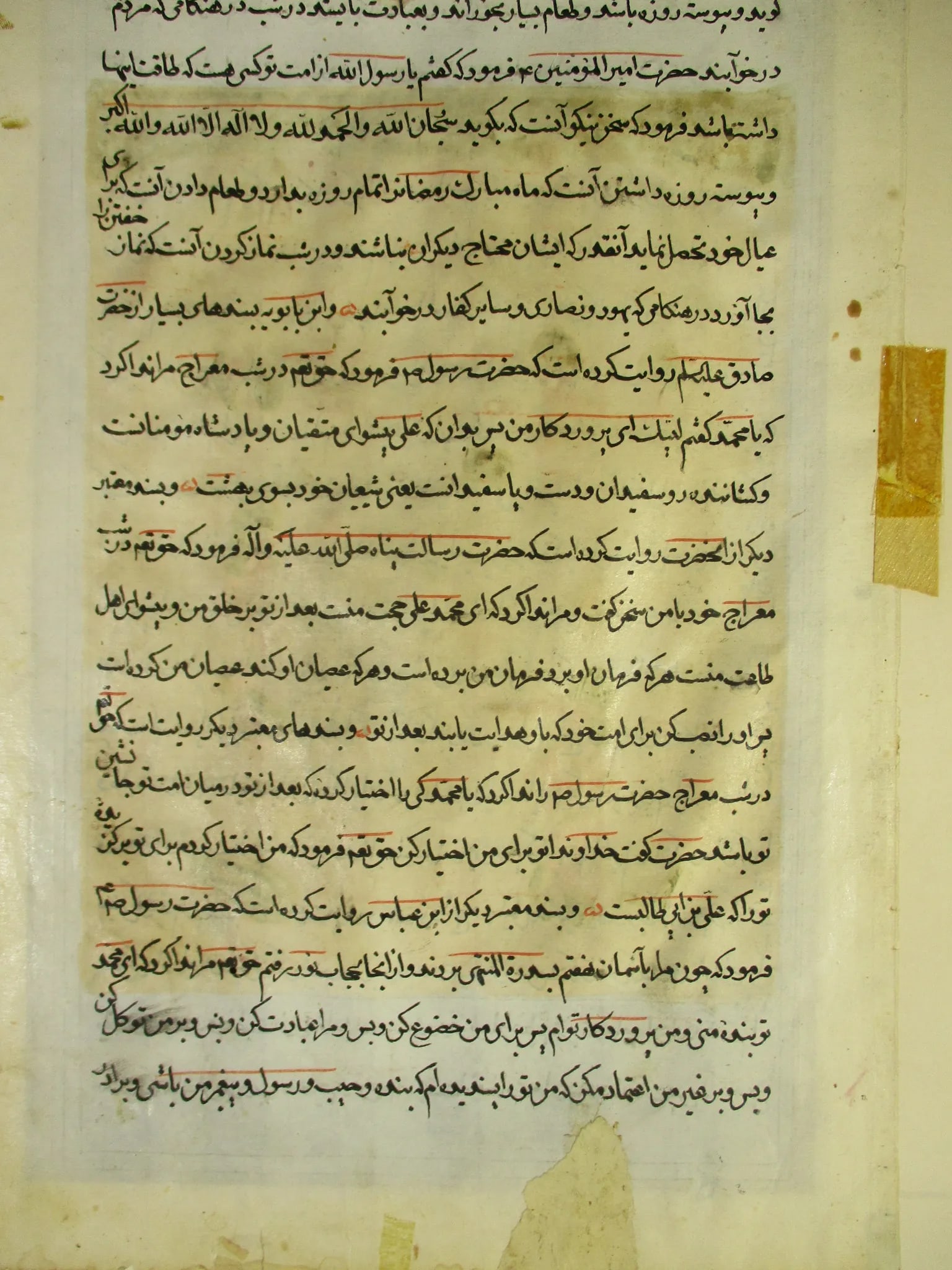 Framed Late 19th Century Persian Text and Illustration - 5