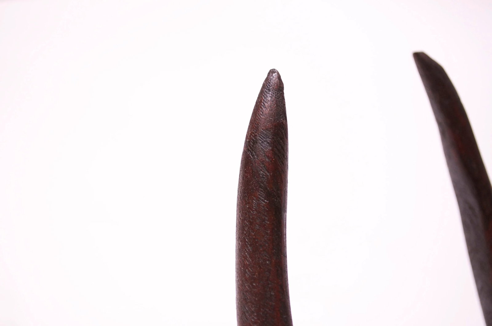 Wall-Mounted Hand-Carved Wooden Antelope Head - 12