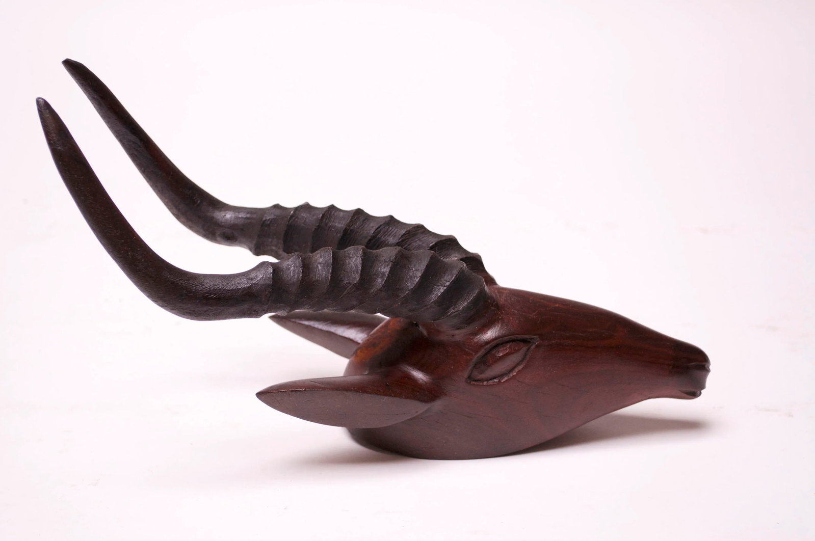 Wall-Mounted Hand-Carved Wooden Antelope Head - 3