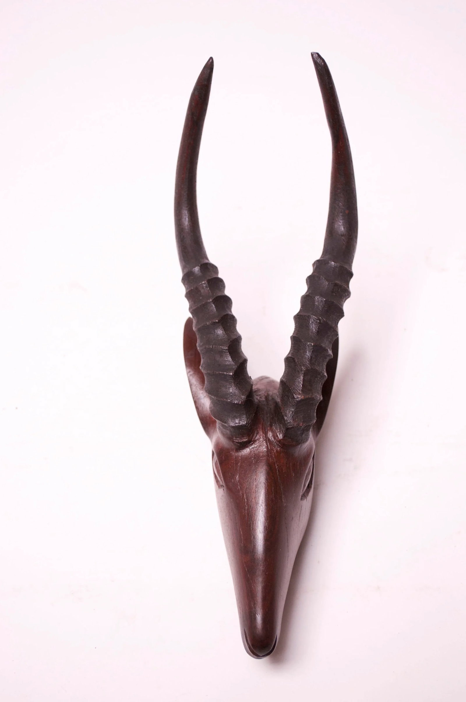 Wall-Mounted Hand-Carved Wooden Antelope Head - 4